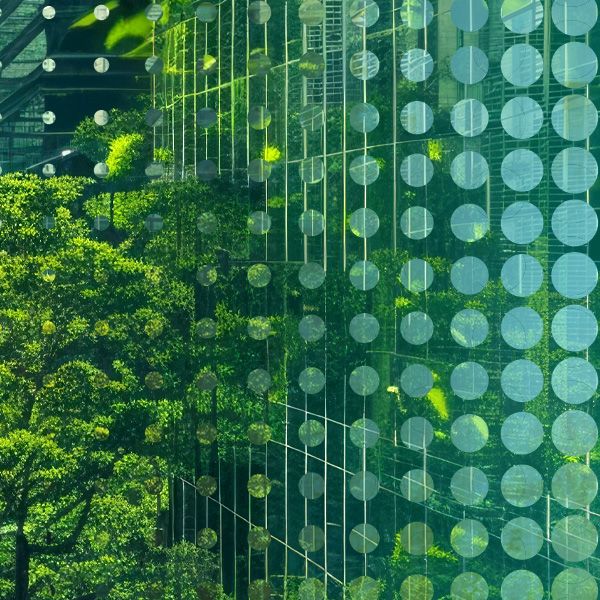 Decarbonize NY